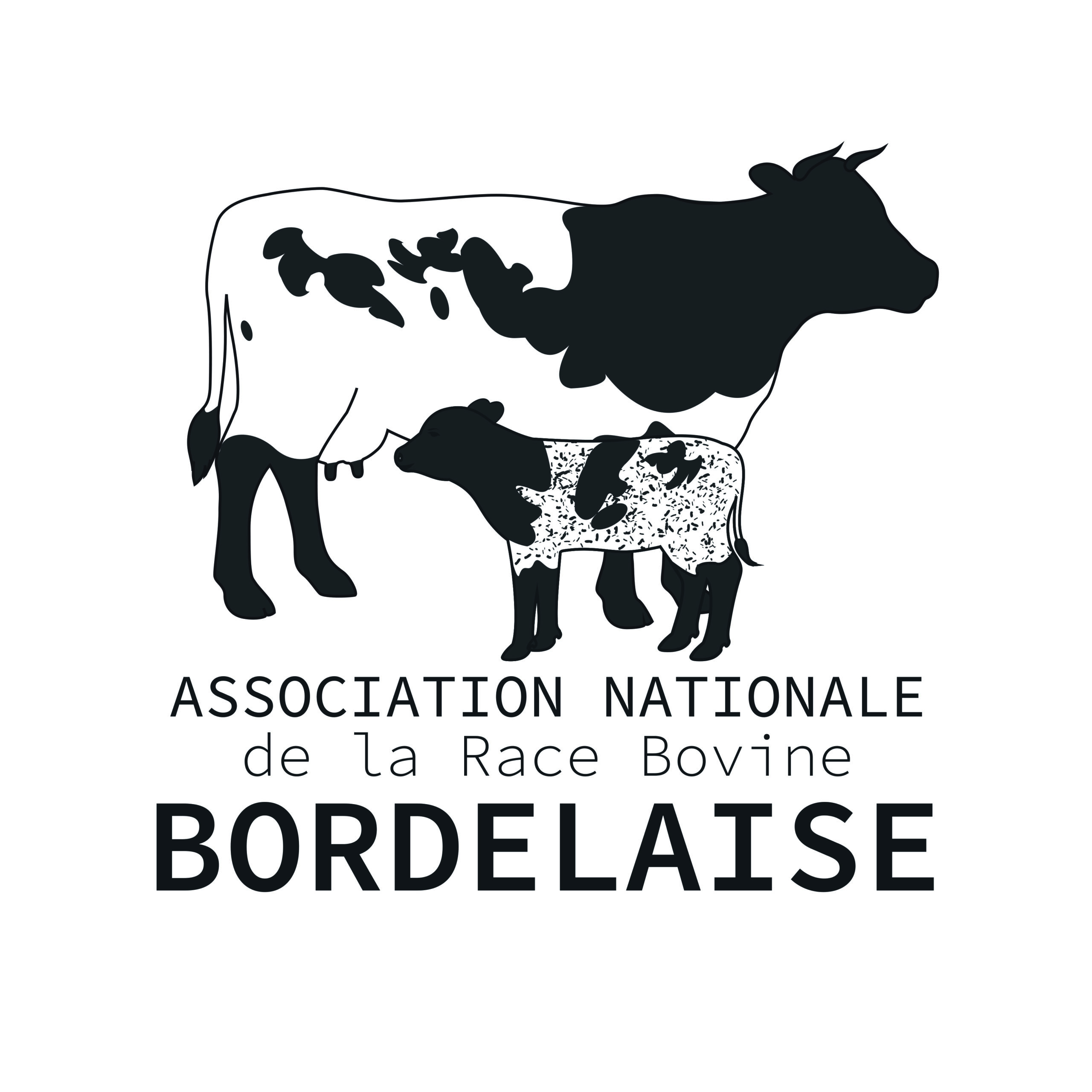Association nationale de la race bovine Bordelaise