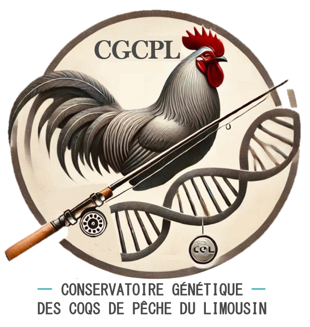 Conservatoire génétique des coqs de pêche du Limousin