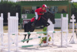 Poney landais