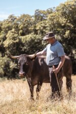 Ferme Patrimoniale du Domaine de La Valette